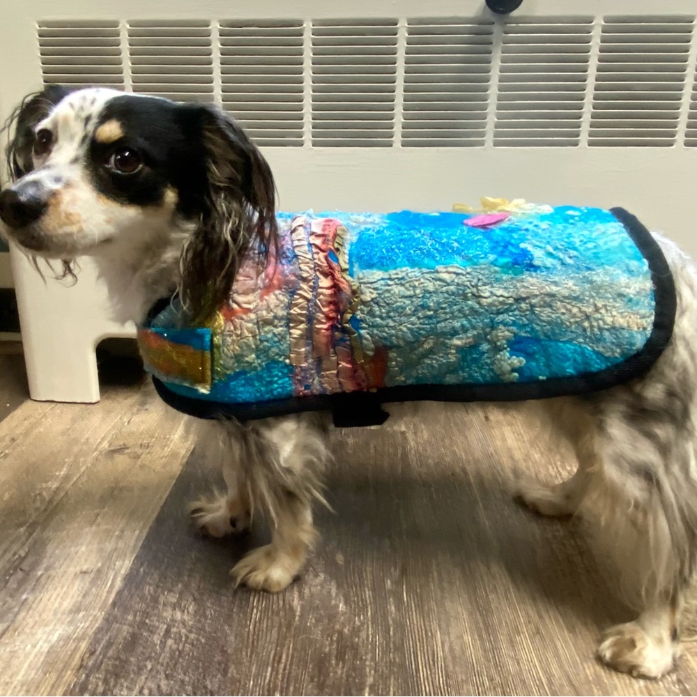 Nuno Felted wool & silk dog coat